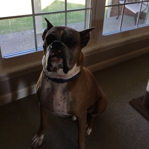 Meet your Posher, Mary